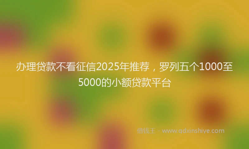 办理贷款不看征信2025年推荐，罗列五个1000至5000的小额贷款平台