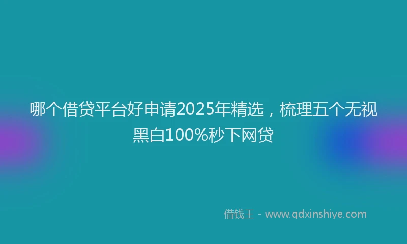 哪个借贷平台好申请2025年精选，梳理五个无视黑白100%秒下网贷