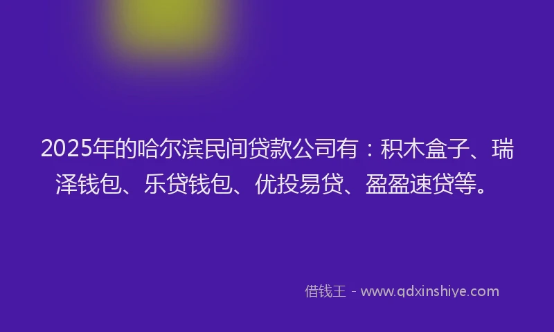 2025年的哈尔滨民间贷款公司有：积木盒子、瑞泽钱包、乐贷钱包、优投易贷、盈盈速贷等。