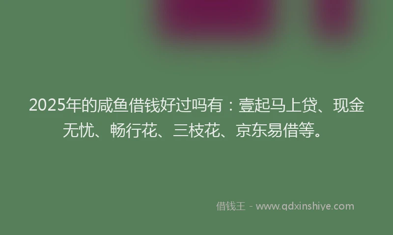 2025年的咸鱼借钱好过吗有：壹起马上贷、现金无忧、畅行花、三枝花、京东易借等。