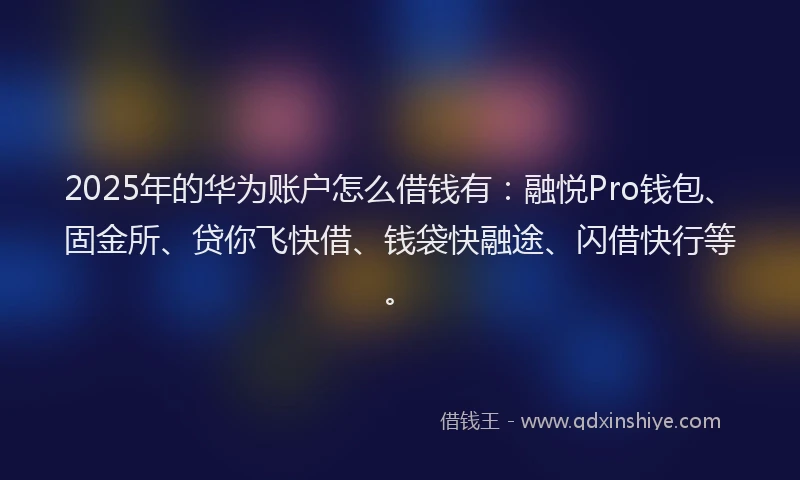 2025年的华为账户怎么借钱有：融悦Pro钱包、固金所、贷你飞快借、钱袋快融途、闪借快行等。