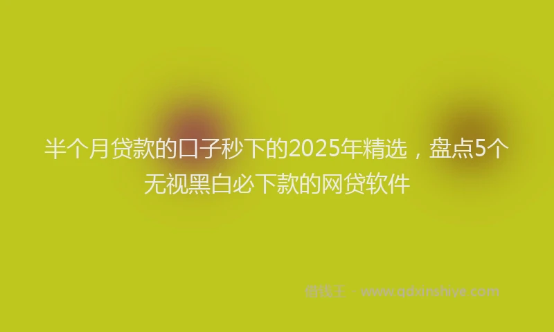 半个月贷款的口子秒下的2025年精选，盘点5个无视黑白必下款的网贷软件