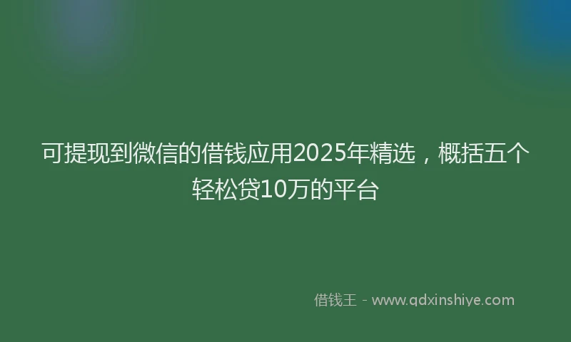 可提现到微信的借钱应用2025年精选，概括五个轻松贷10万的平台