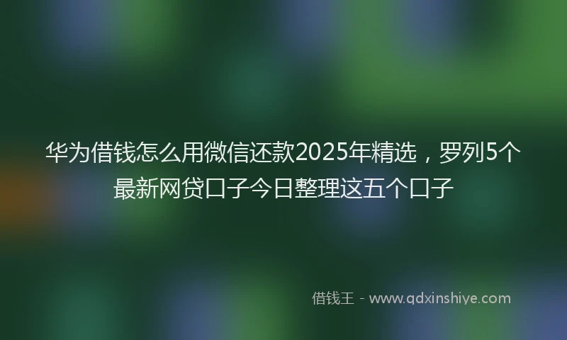 华为借钱怎么用微信还款2025年精选，罗列5个最新网贷口子今日整理这五个口子