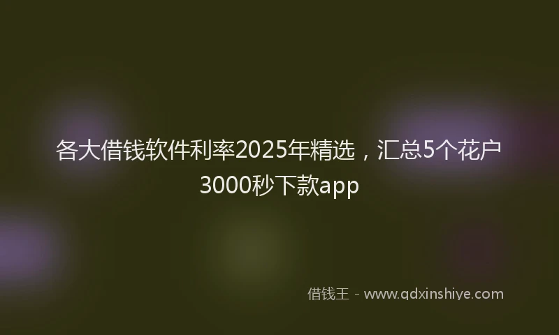 各大借钱软件利率2025年精选，汇总5个花户3000秒下款app