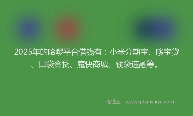 2025年的哈啰平台借钱有：小米分期宝、哆宝贷、口袋金贷、魔快商城、钱袋速融等。