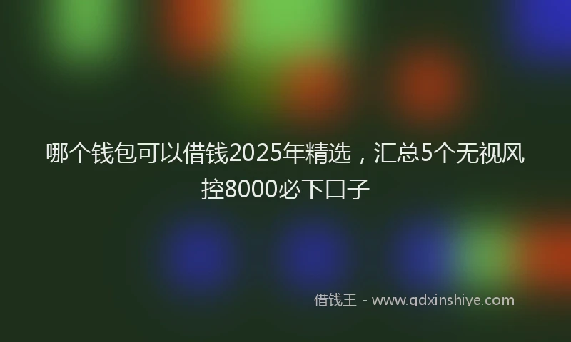 哪个钱包可以借钱2025年精选，汇总5个无视风控8000必下口子