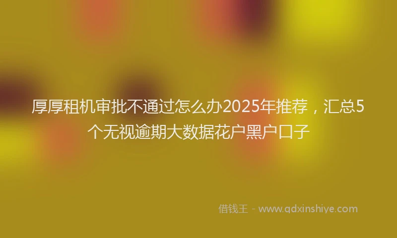 厚厚租机审批不通过怎么办2025年推荐，汇总5个无视逾期大数据花户黑户口子