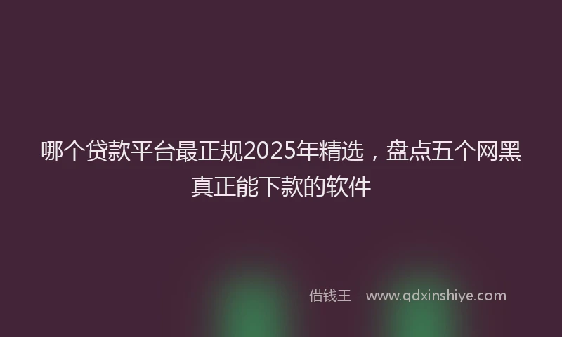 哪个贷款平台最正规2025年精选，盘点五个网黑真正能下款的软件