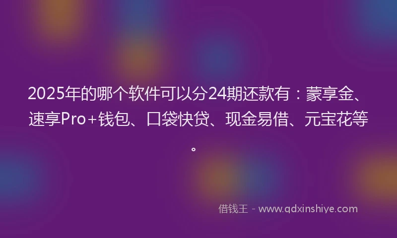 2025年的哪个软件可以分24期还款有：蒙享金、速享Pro+钱包、口袋快贷、现金易借、元宝花等。