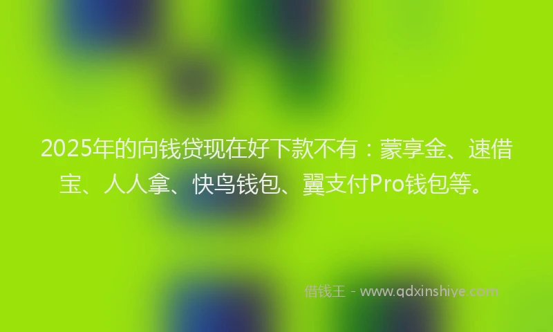 2025年的向钱贷现在好下款不有：蒙享金、速借宝、人人拿、快鸟钱包、翼支付Pro钱包等。