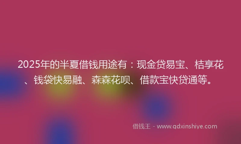 2025年的半夏借钱用途有：现金贷易宝、桔享花、钱袋快易融、森森花呗、借款宝快贷通等。