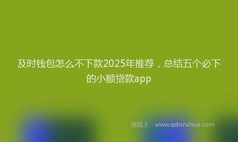 及时钱包怎么不下款2025年推荐，总结五个必下的小额贷款app