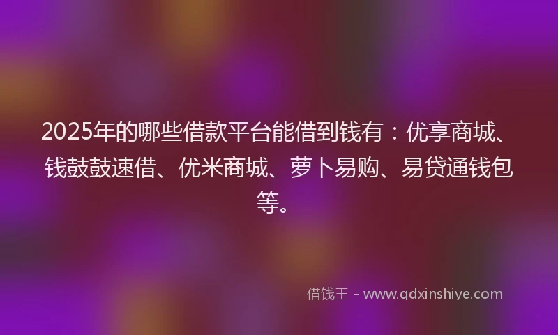 2025年的哪些借款平台能借到钱有：优享商城、钱鼓鼓速借、优米商城、萝卜易购、易贷通钱包等。