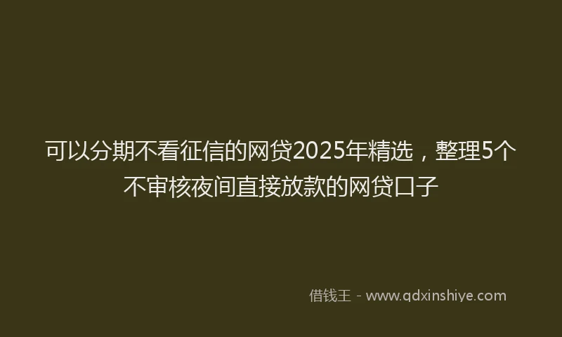 可以分期不看征信的网贷2025年精选，整理5个不审核夜间直接放款的网贷口子