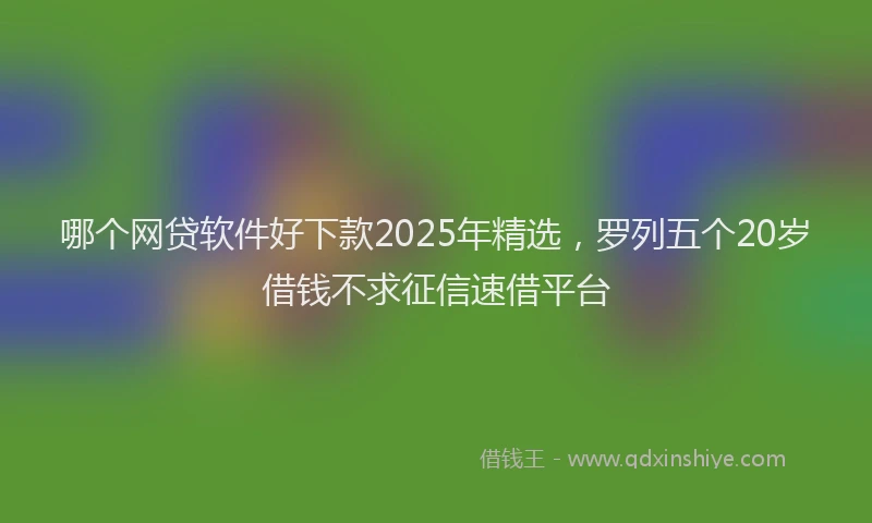 哪个网贷软件好下款2025年精选，罗列五个20岁借钱不求征信速借平台