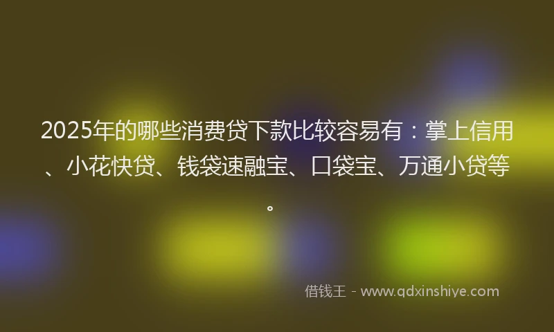2025年的哪些消费贷下款比较容易有：掌上信用、小花快贷、钱袋速融宝、口袋宝、万通小贷等。