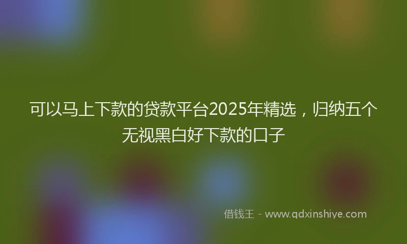 可以马上下款的贷款平台2025年精选，归纳五个无视黑白好下款的口子