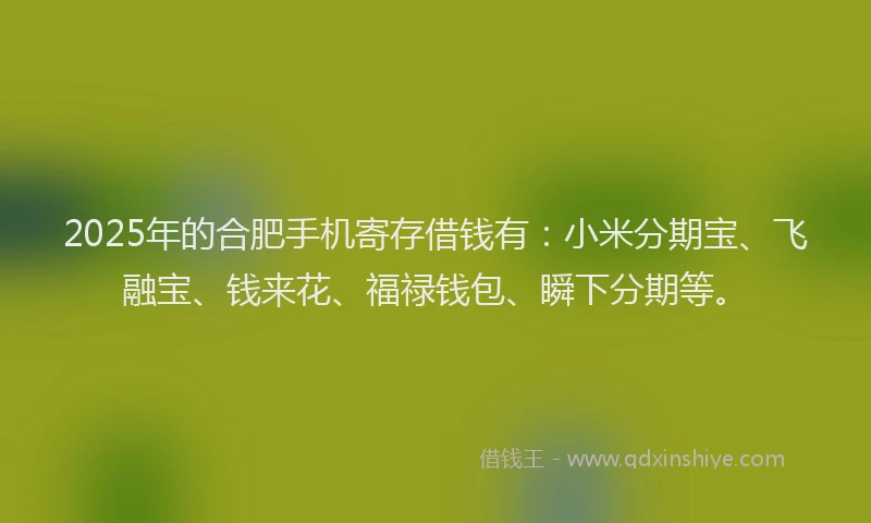 2025年的合肥手机寄存借钱有：小米分期宝、飞融宝、钱来花、福禄钱包、瞬下分期等。