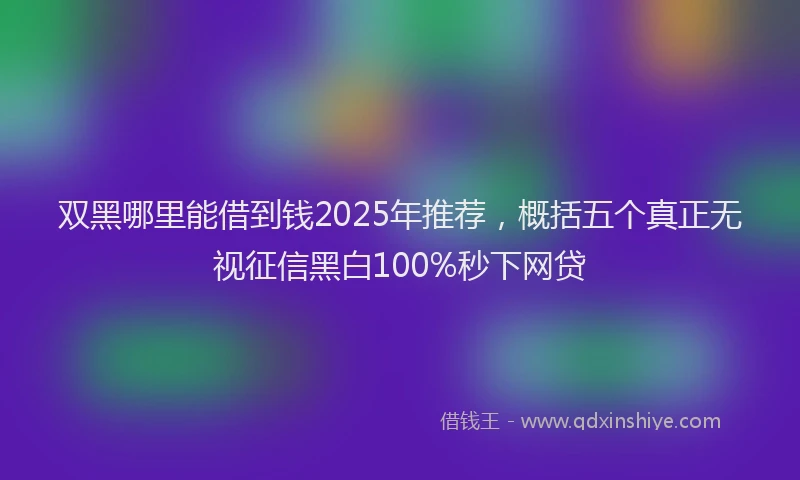 双黑哪里能借到钱2025年推荐，概括五个真正无视征信黑白100%秒下网贷
