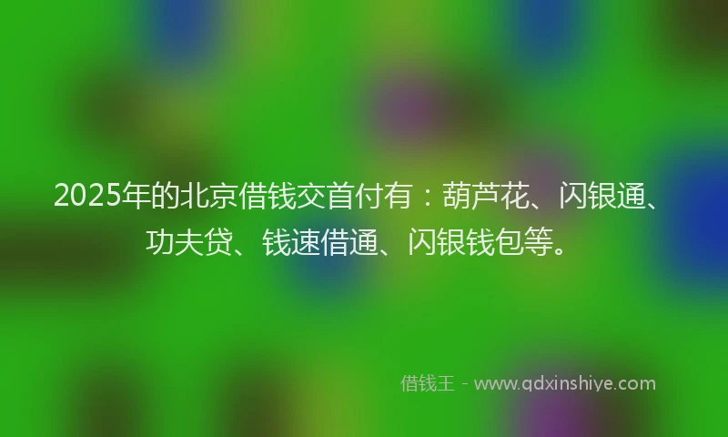 2025年的北京借钱交首付有：葫芦花、闪银通、功夫贷、钱速借通、闪银钱包等。