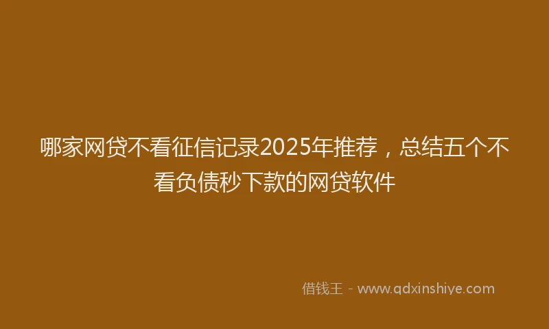 哪家网贷不看征信记录2025年推荐，总结五个不看负债秒下款的网贷软件