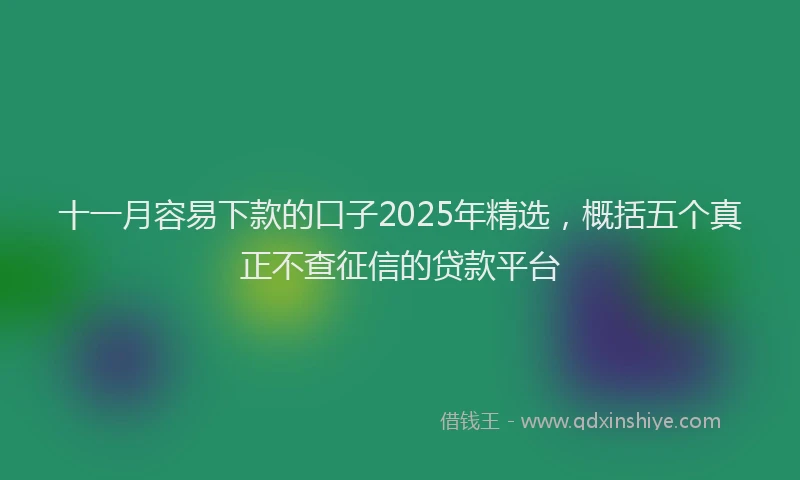 十一月容易下款的口子2025年精选，概括五个真正不查征信的贷款平台