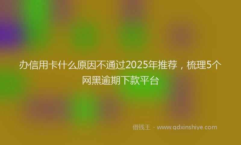 办信用卡什么原因不通过2025年推荐，梳理5个网黑逾期下款平台