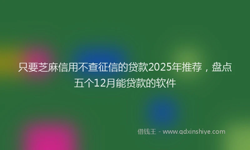 只要芝麻信用不查征信的贷款2025年推荐，盘点五个12月能贷款的软件