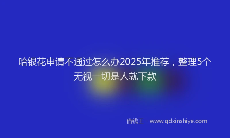 哈银花申请不通过怎么办2025年推荐，整理5个无视一切是人就下款