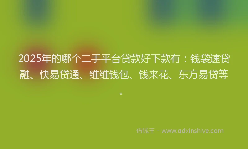 2025年的哪个二手平台贷款好下款有：钱袋速贷融、快易贷通、维维钱包、钱来花、东方易贷等。