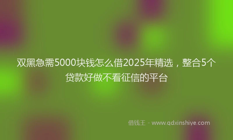 双黑急需5000块钱怎么借2025年精选，整合5个贷款好做不看征信的平台