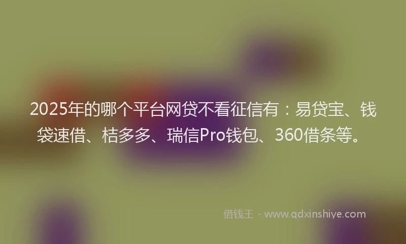 2025年的哪个平台网贷不看征信有：易贷宝、钱袋速借、桔多多、瑞信Pro钱包、360借条等。