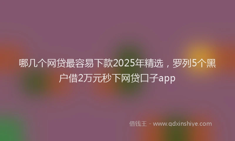 哪几个网贷最容易下款2025年精选，罗列5个黑户借2万元秒下网贷口子app