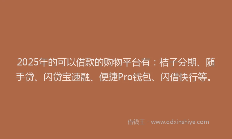 2025年的可以借款的购物平台有：桔子分期、随手贷、闪贷宝速融、便捷Pro钱包、闪借快行等。