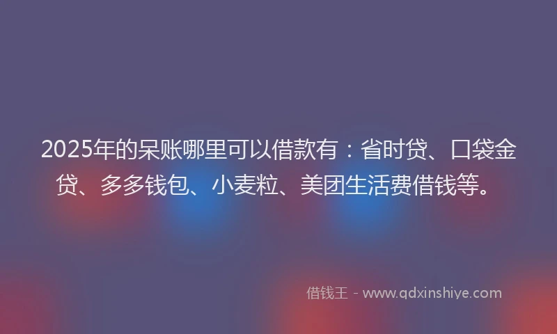 2025年的呆账哪里可以借款有：省时贷、口袋金贷、多多钱包、小麦粒、美团生活费借钱等。