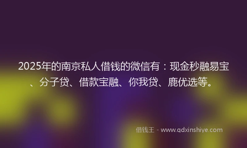 2025年的南京私人借钱的微信有：现金秒融易宝、分子贷、借款宝融、你我贷、鹿优选等。
