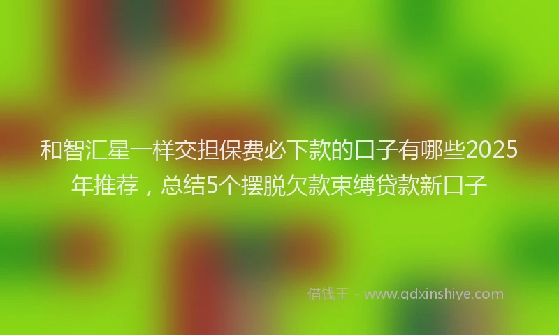 和智汇星一样交担保费必下款的口子有哪些2025年推荐，总结5个摆脱欠款束缚贷款新口子