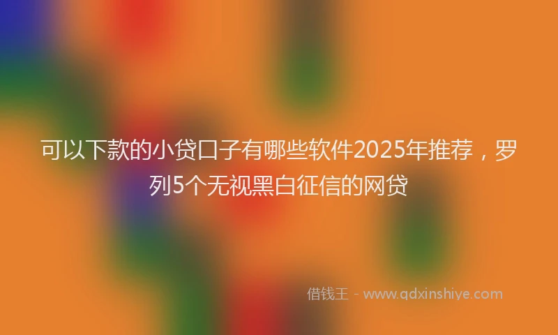 可以下款的小贷口子有哪些软件2025年推荐，罗列5个无视黑白征信的网贷