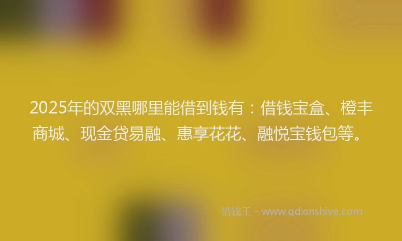 2025年的双黑哪里能借到钱有：借钱宝盒、橙丰商城、现金贷易融、惠享花花、融悦宝钱包等。