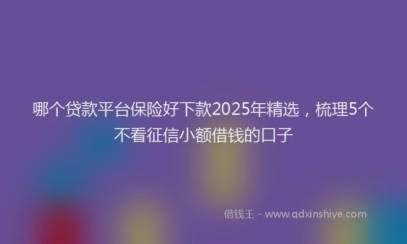 哪个贷款平台保险好下款2025年精选，梳理5个不看征信小额借钱的口子