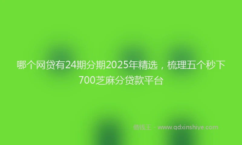 哪个网贷有24期分期2025年精选，梳理五个秒下700芝麻分贷款平台