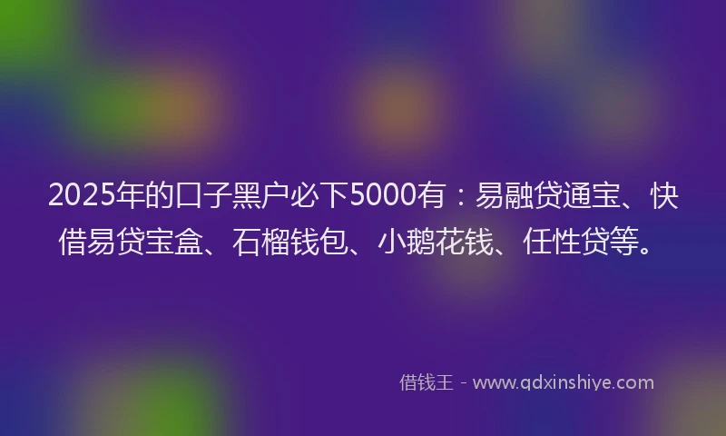 2025年的口子黑户必下5000有：易融贷通宝、快借易贷宝盒、石榴钱包、小鹅花钱、任性贷等。