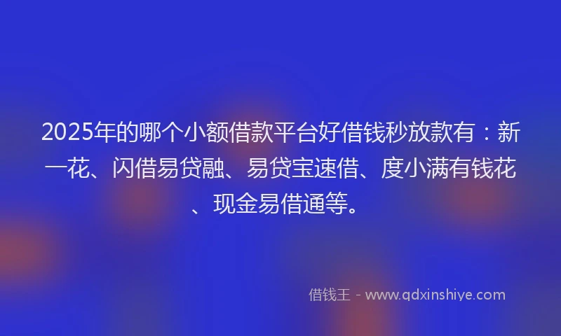 2025年的哪个小额借款平台好借钱秒放款有：新一花、闪借易贷融、易贷宝速借、度小满有钱花、现金易借通等。