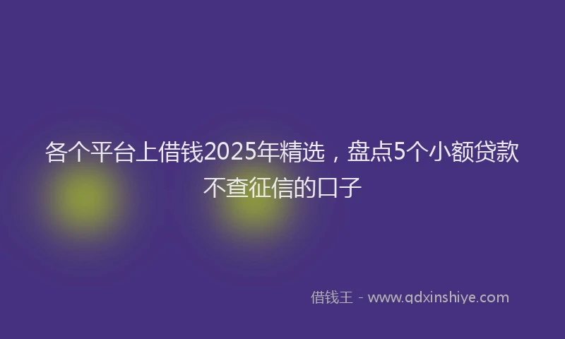 各个平台上借钱2025年精选，盘点5个小额贷款不查征信的口子