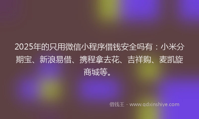 2025年的只用微信小程序借钱安全吗有：小米分期宝、新浪易借、携程拿去花、吉祥购、麦凯旋商城等。