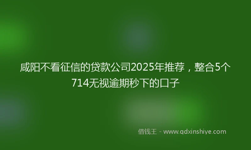 咸阳不看征信的贷款公司2025年推荐，整合5个714无视逾期秒下的口子