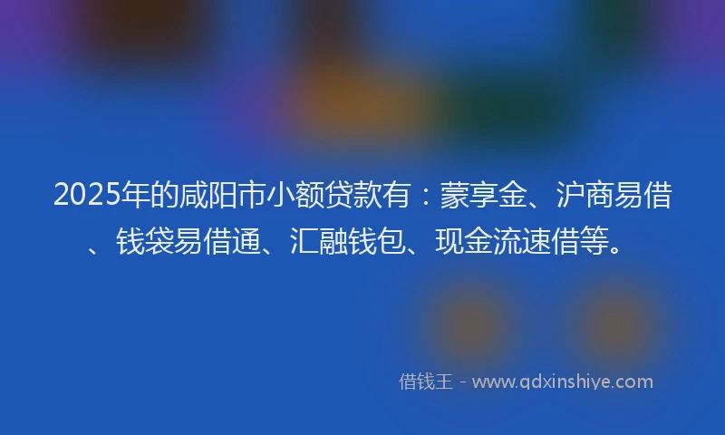 2025年的咸阳市小额贷款有：蒙享金、沪商易借、钱袋易借通、汇融钱包、现金流速借等。