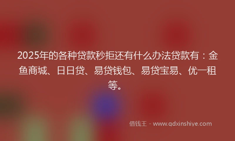 2025年的各种贷款秒拒还有什么办法贷款有：金鱼商城、日日贷、易贷钱包、易贷宝易、优一租等。