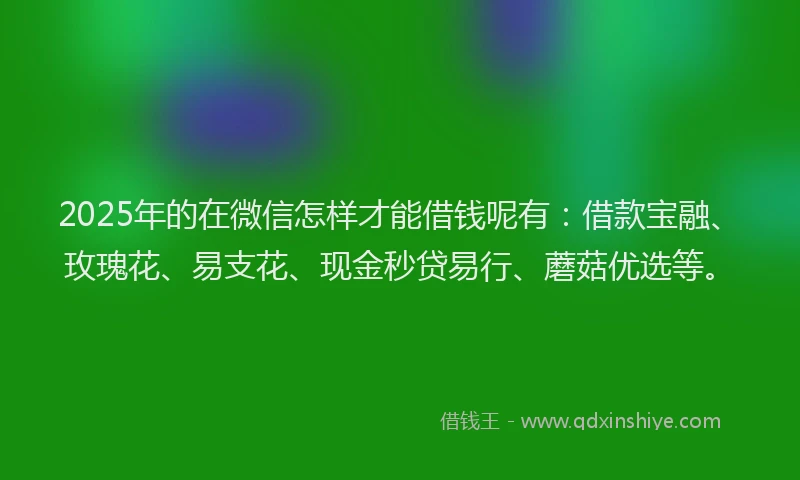 2025年的在微信怎样才能借钱呢有：借款宝融、玫瑰花、易支花、现金秒贷易行、蘑菇优选等。